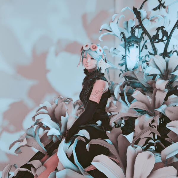studio sasya